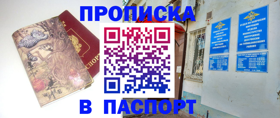 пропишу в квартире в Владимирской области